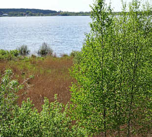 Rundgang um den Bederkesaer See