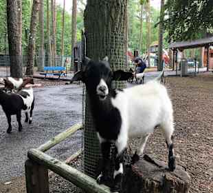 Tierwelt