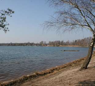 Blick vom Strand zum Nordufer des Olbasees