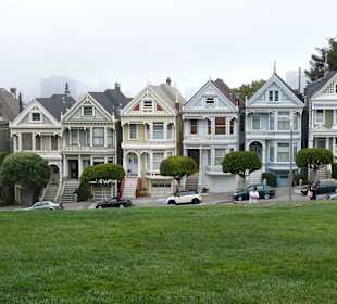Painted Ladies