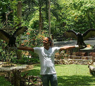 Nature Complete Tour 