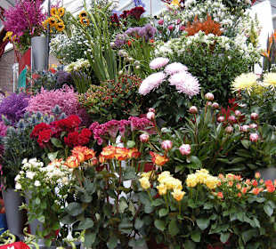 Blumenstand auf der Blumeninsel