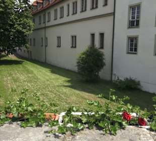 Deutschordensschloss