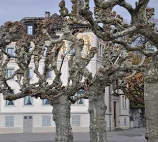 Виды города