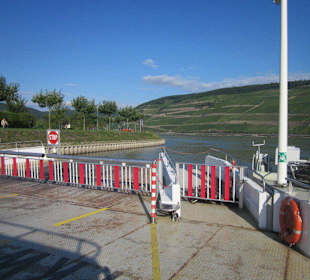 Fähre Rüdesheim