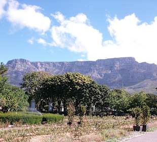 Blick zum Tafelberg