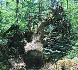 Wandern Frauengau