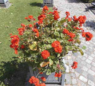 Parkanlage Planten un Blomen