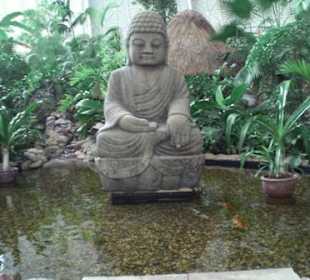 Buddha