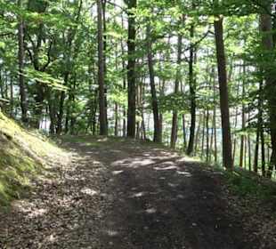 Wanderweg - Alter Steinbruch Pfaffenberg Runde