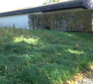 Friedhof Ohnastetten