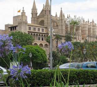 Kathedrale Palma