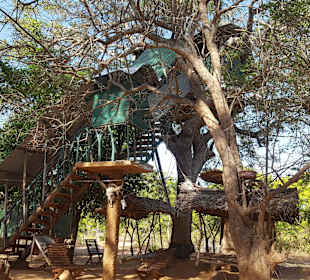Baumhaus