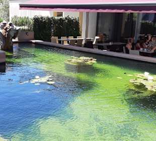 Restaurant Terrasse am Wasser