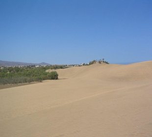 Dünen in Maspalomas bei Meloneras