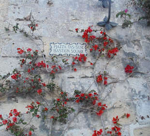 Malta