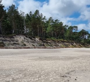 Gleich der Wald dahinter