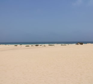Düne in Coralejo