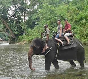 Elefanten-Trekking in Tangkahan.