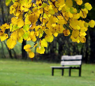 Herbst am Golfplatz Oberau