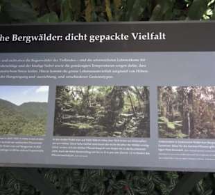 Botanischer Garten der Universität Zürich