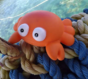 Passt auf die Taue auf 