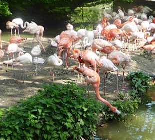 Tierpark Hellabrunn