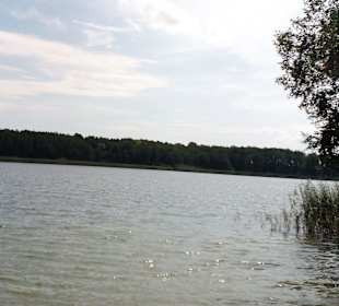 Märkisches Seecamp in Tauche