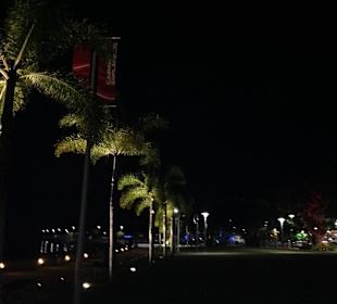 Cairns Esplanade by night