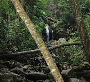 Grotto Fall Trail