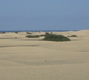 Dünen von Maspalomas...