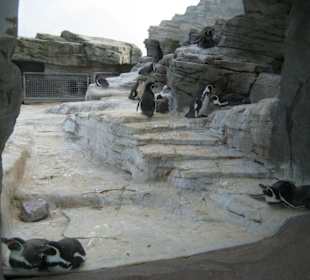 Zoo am Meer