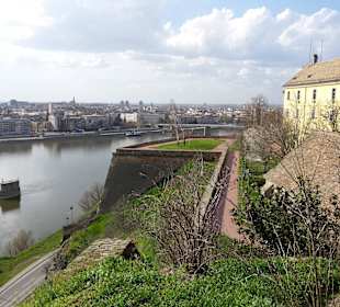 Stare Miasto Novi Sad