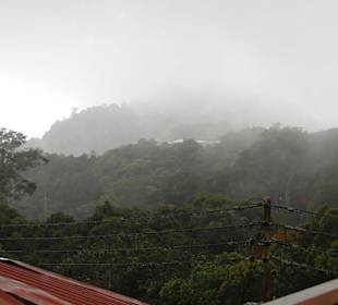 Ausflug Wildfife Expeditions