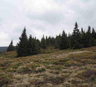 Berg Schneekoppe/Śnieżka