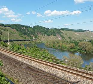 Wandern Alf an der Mosel