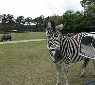 Serengeti Park Hodenhagen