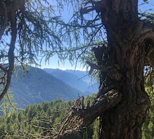 Wandern Malles Venosta / Mals