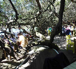 Aussichtspunkt Knysna