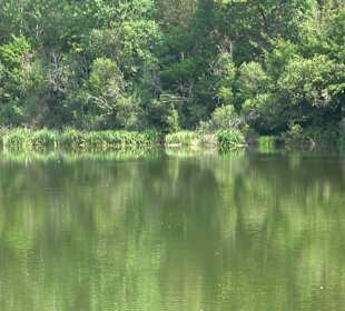 Sulzbachstausee