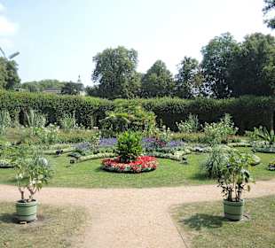 Sanssouci Schloss-/Schlossgartenimpression