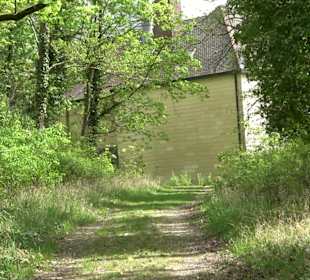 Wallersteiner Felsen