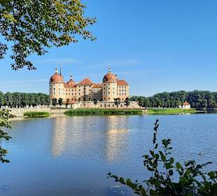 Schloss Moritzburg