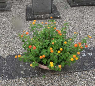 Gefallenendenkmal