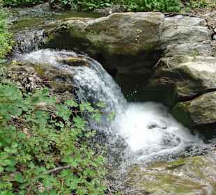Bachlauf