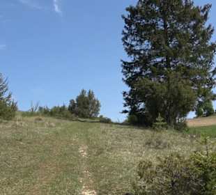 Premiumwanderweg Hochgehschätzt