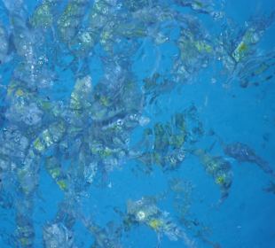 Sunrise Select Royal Makadi Resort