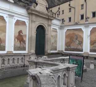 Pferdeschwemme