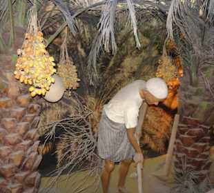 Stadtrundfahrt Dubai