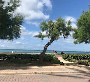 Strandpromenade Playa/Platja de Palma